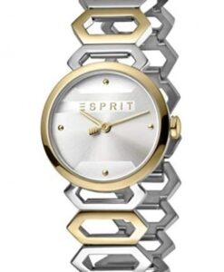 Női karóra Esprit Arc ES1L021M0075 - A számlap színe: ezüst